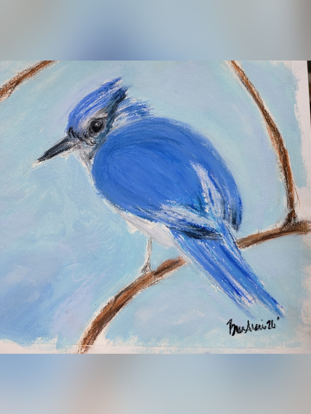 "Zip-a-dee-doo-da" 🐦Original Unframed Artwork Soft Pastel on Pastel Paper